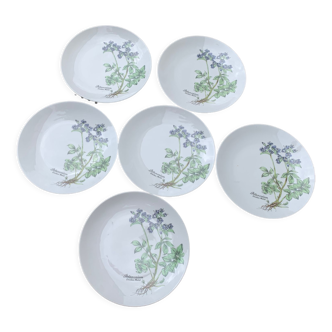 6 assiettes plates motif herbier création mobil winterling bavaria vintage