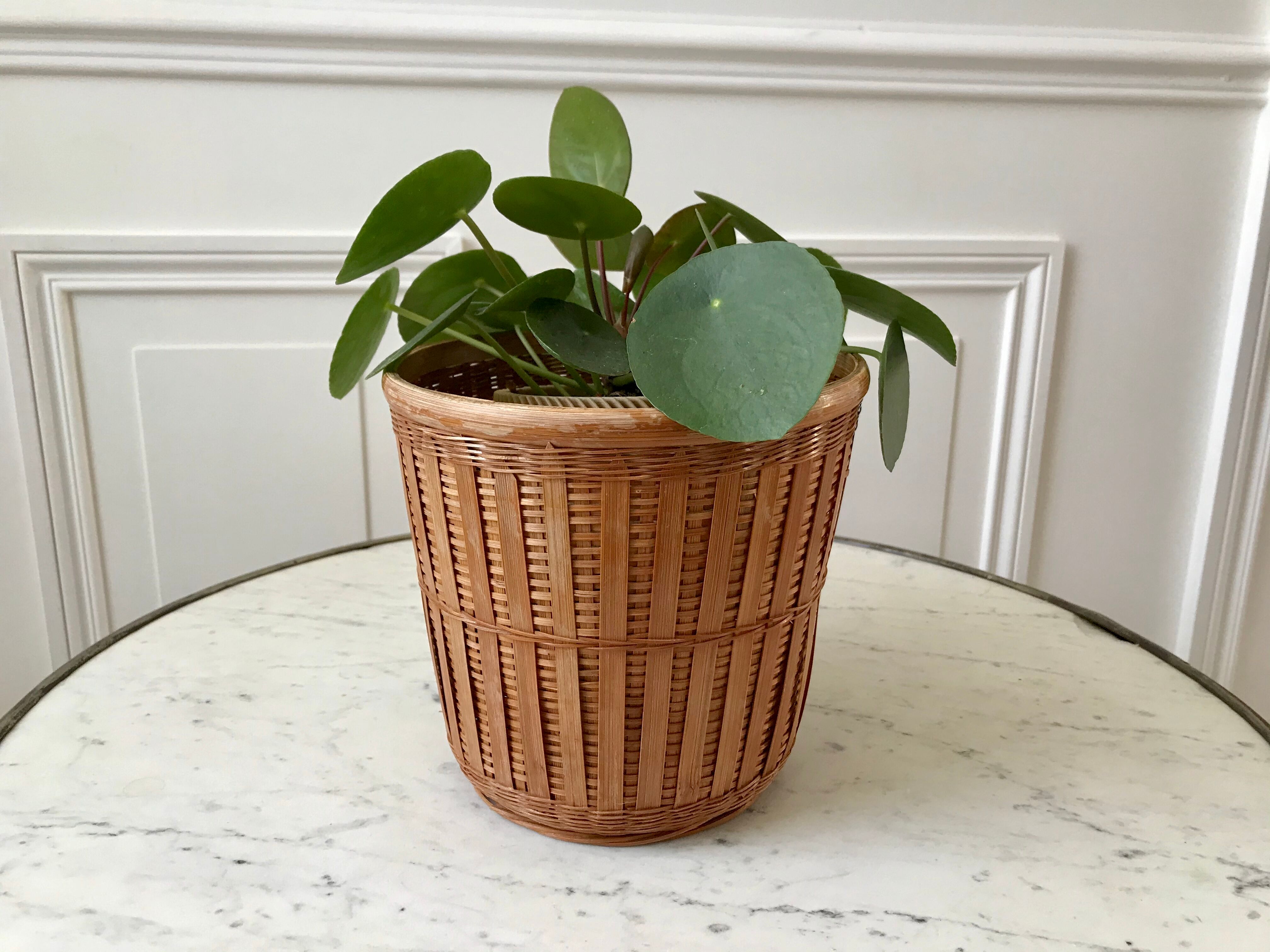 Rattan and wicker pot cover 70s