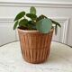 Rattan and wicker pot cover 70s