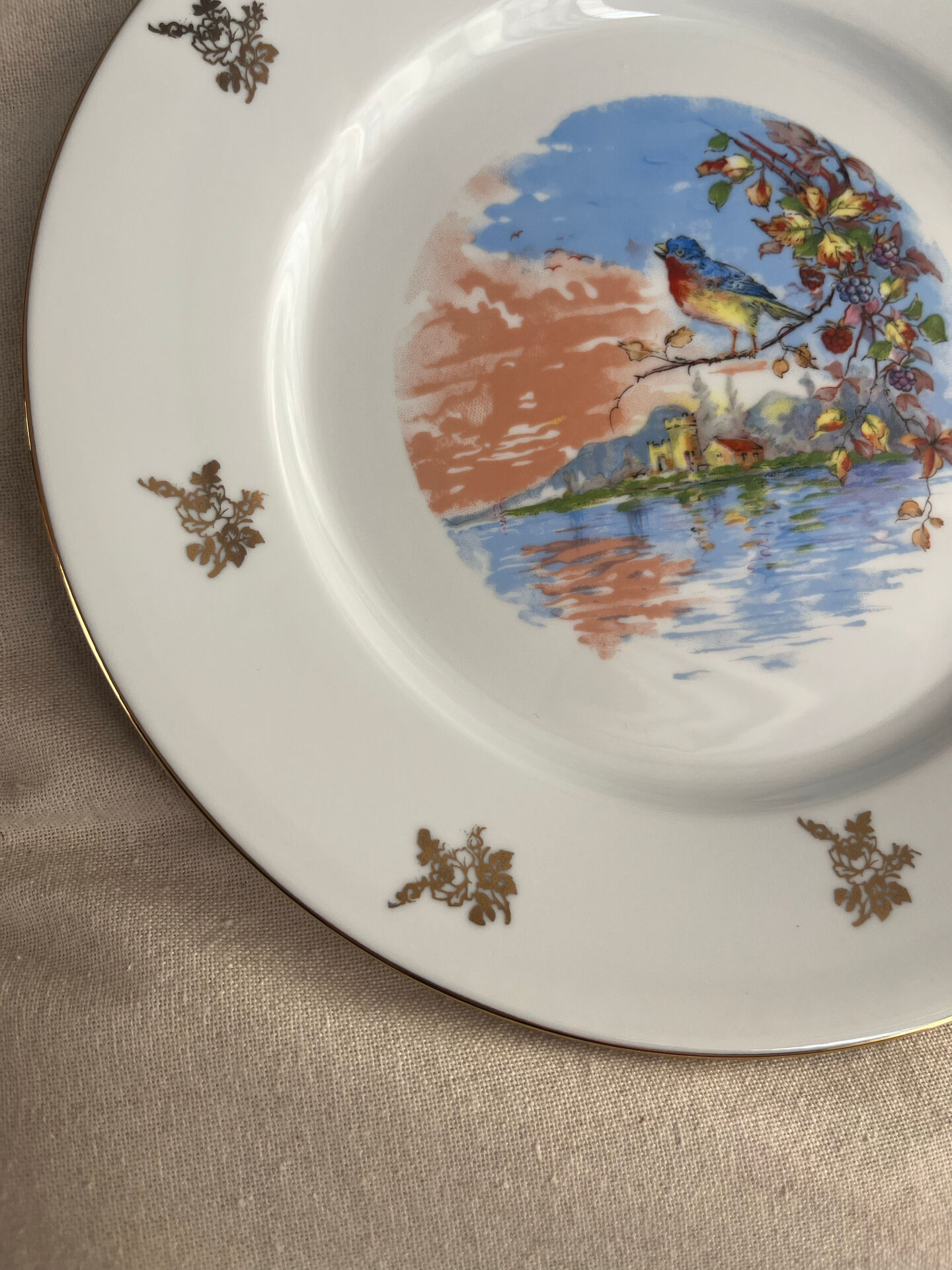 Antique Limoges porcelain plate – bird decoration – 25 cm