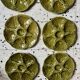 8 assiettes à huîtres Barbotine 