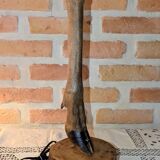 Hunting Lamp Base, Doe/Stag, Cabinet of Curiosities