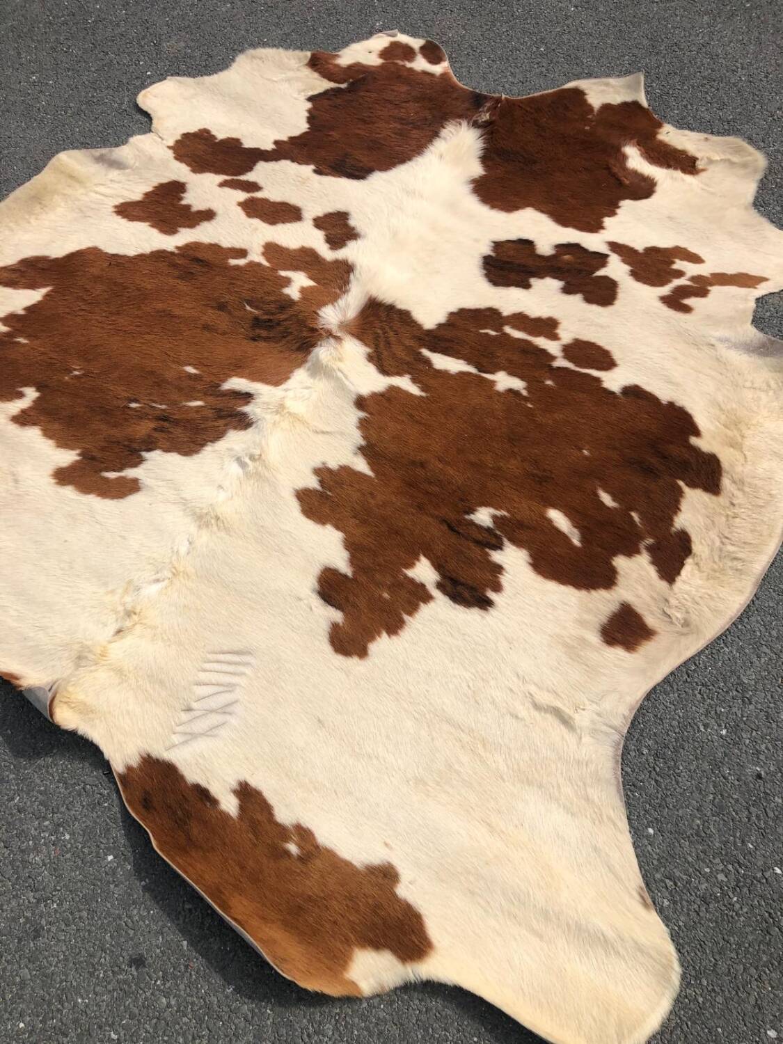 Cowhide rug