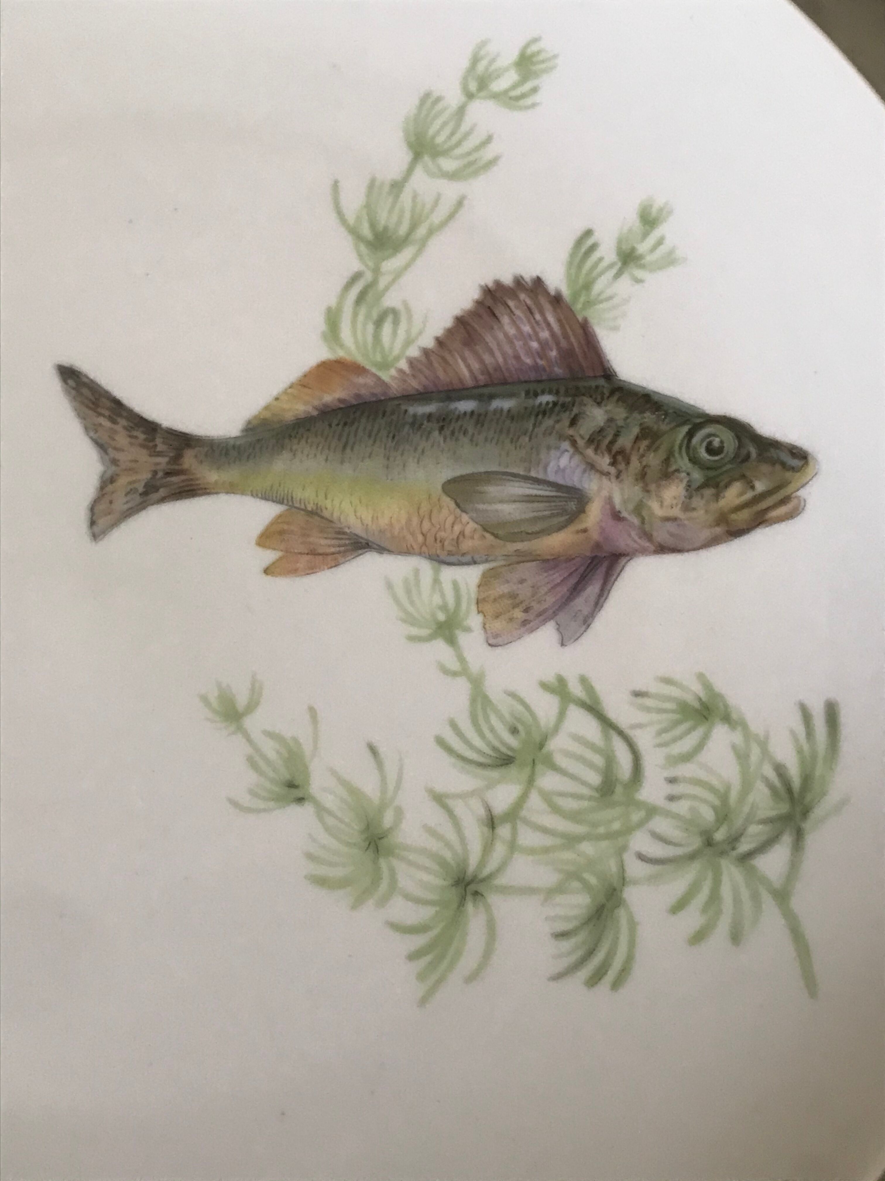 12 assiettes en porcelaine