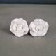 Paire de boutons de meubles en porcelaine