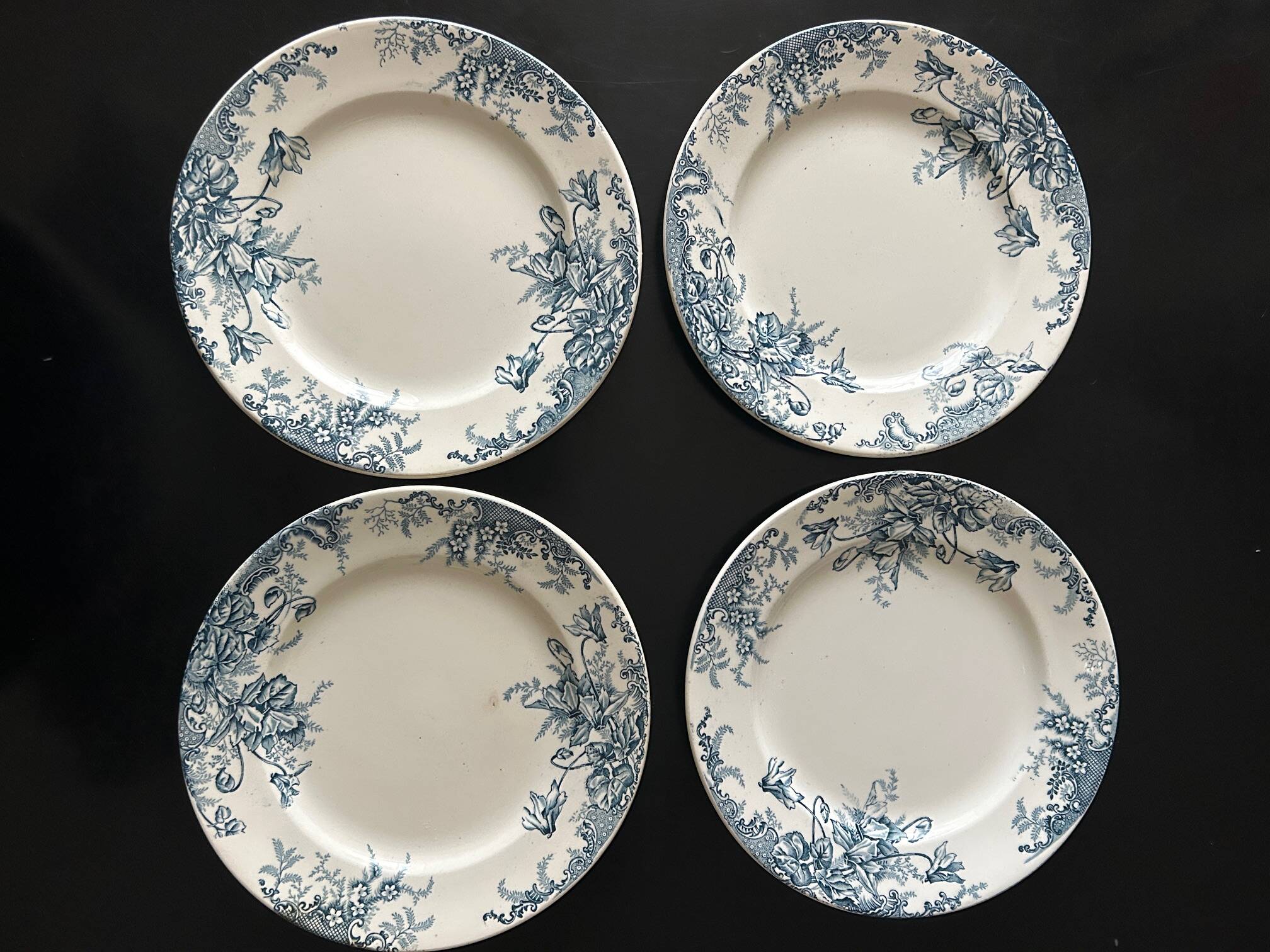 13 flat plates Terre de Fer Louis Graves