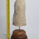 Old oblong coral on wooden base 24 cm