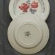 Set of 6 DIGOIN SARREGUEMINES earthenware dinner plates. CANNES model.