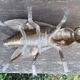 Brass fly ashtray