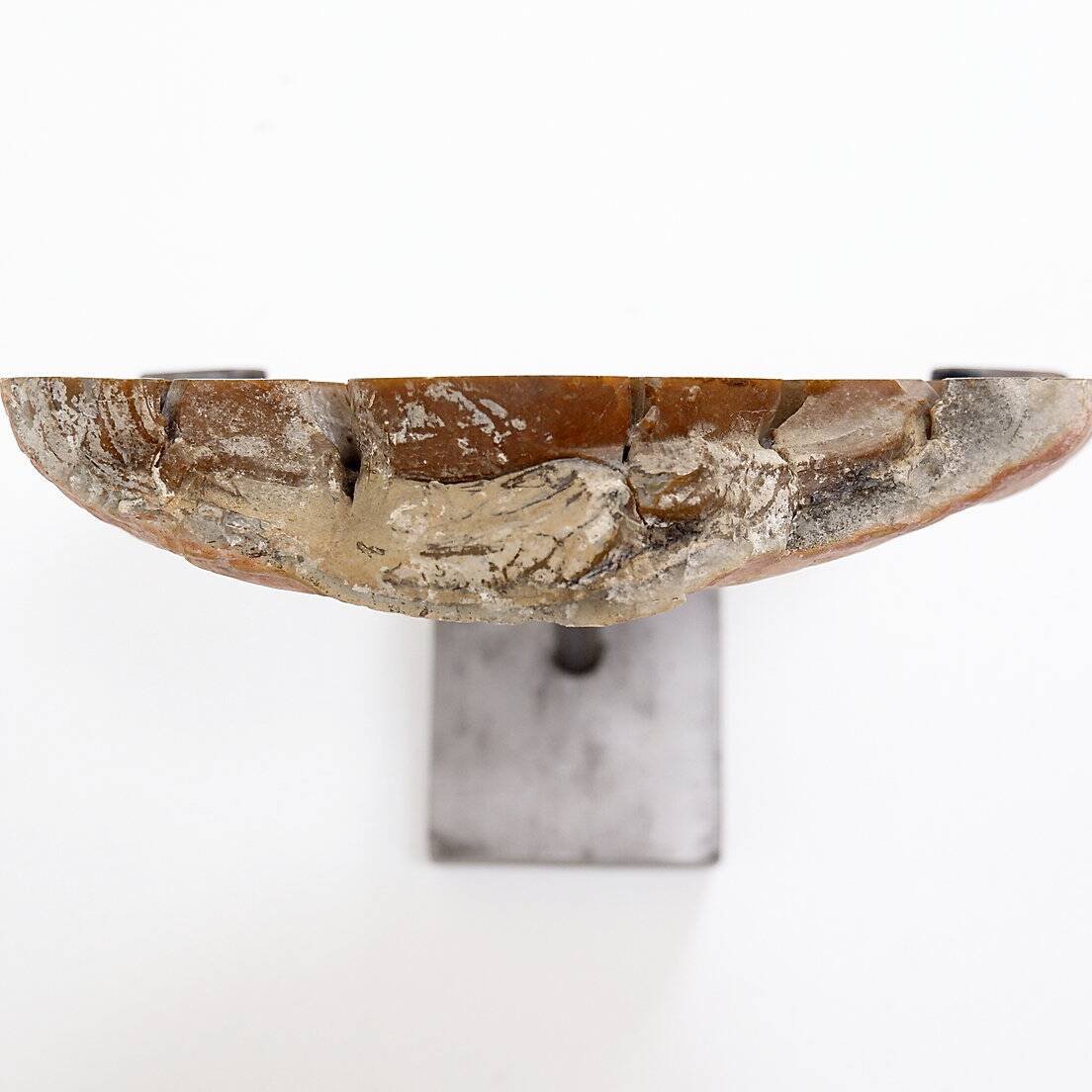 Custom Septarian Nodule on Base
