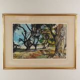 Landscape