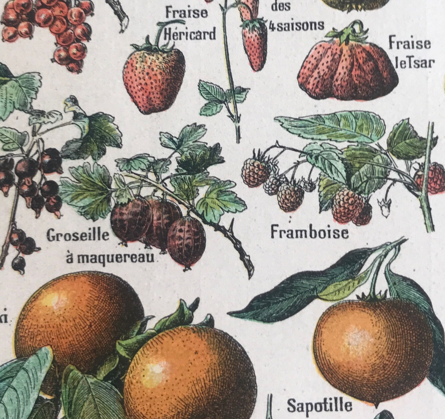 Original vintage fruit board