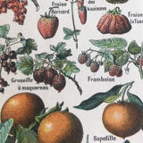 Original vintage fruit board