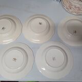 5 soup plates diameter 25 cm Agreste Sarreguemines