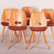 5 Czech Mid Century dining chairs, made 1950s by Tatra Nábytok. Jirák