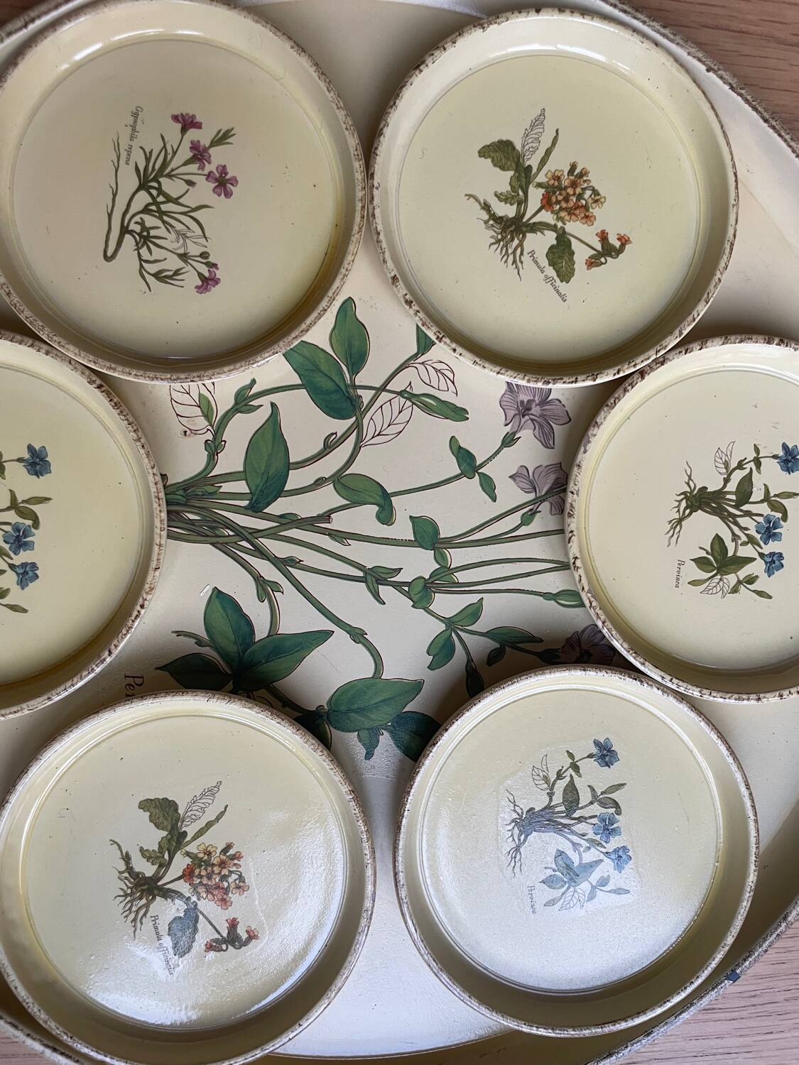 Vintage tray and under glass