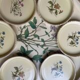 Vintage tray and under glass