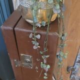 Cache-pots laiton