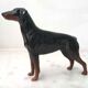 John Beswick porcelain dog