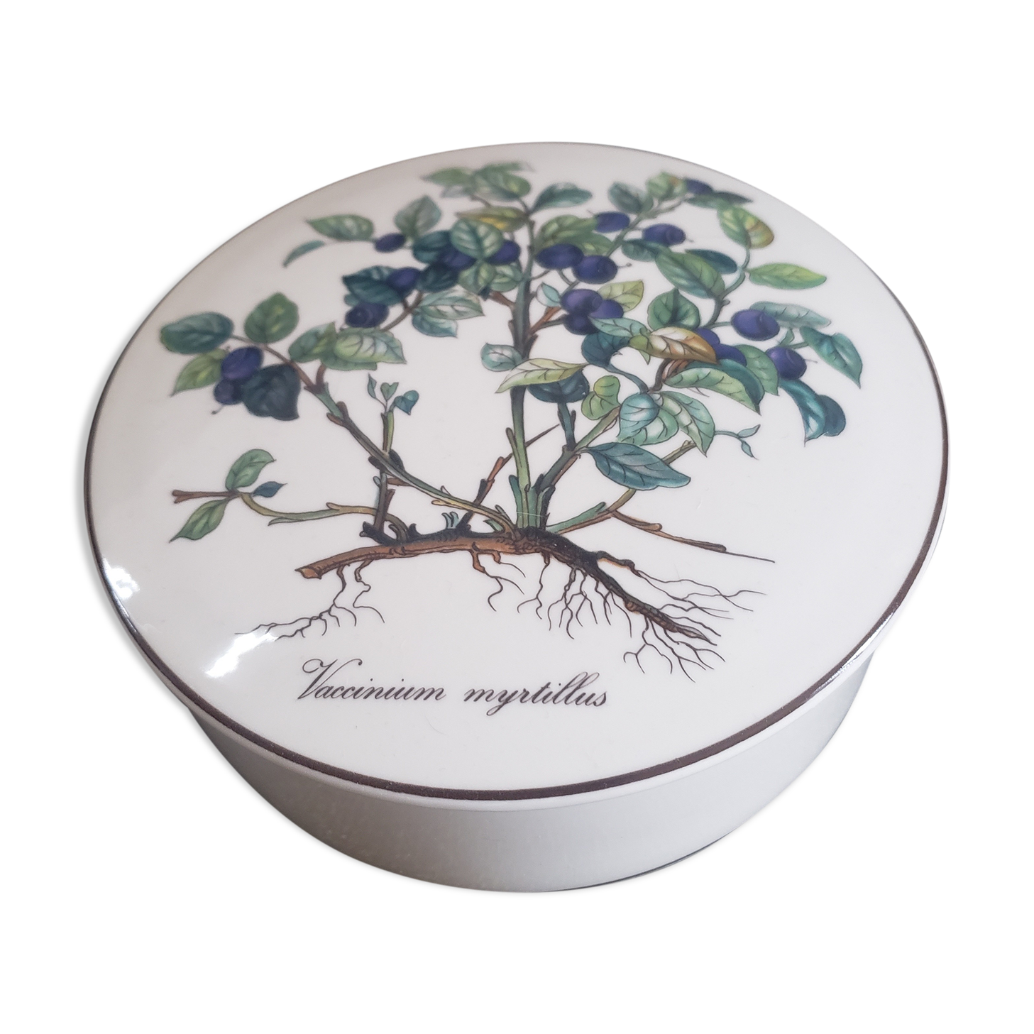 Porcelain box blueberries Villeroy and Boch