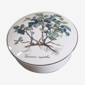 Porcelain box blueberries Villeroy and Boch