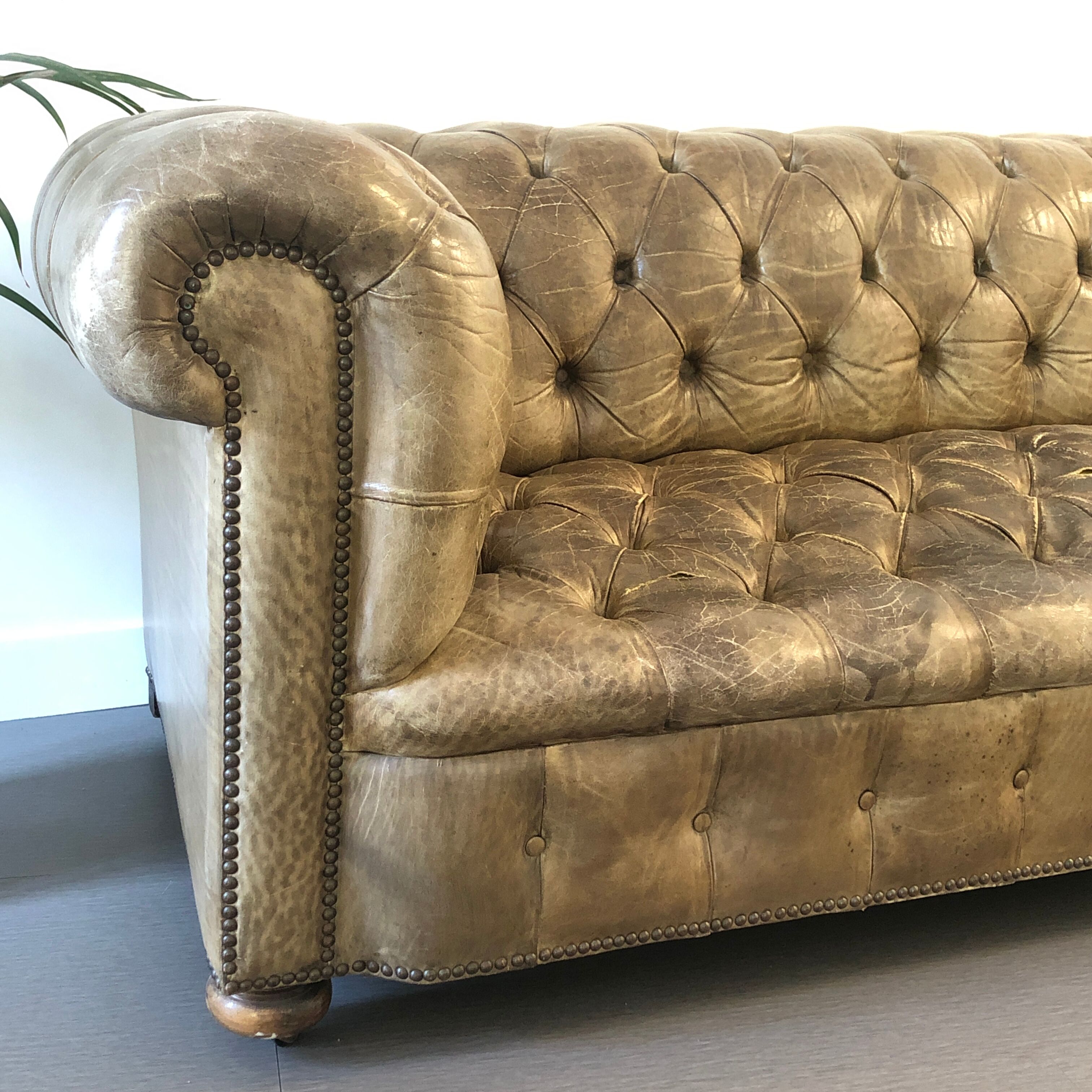Chesterfield Sofa
