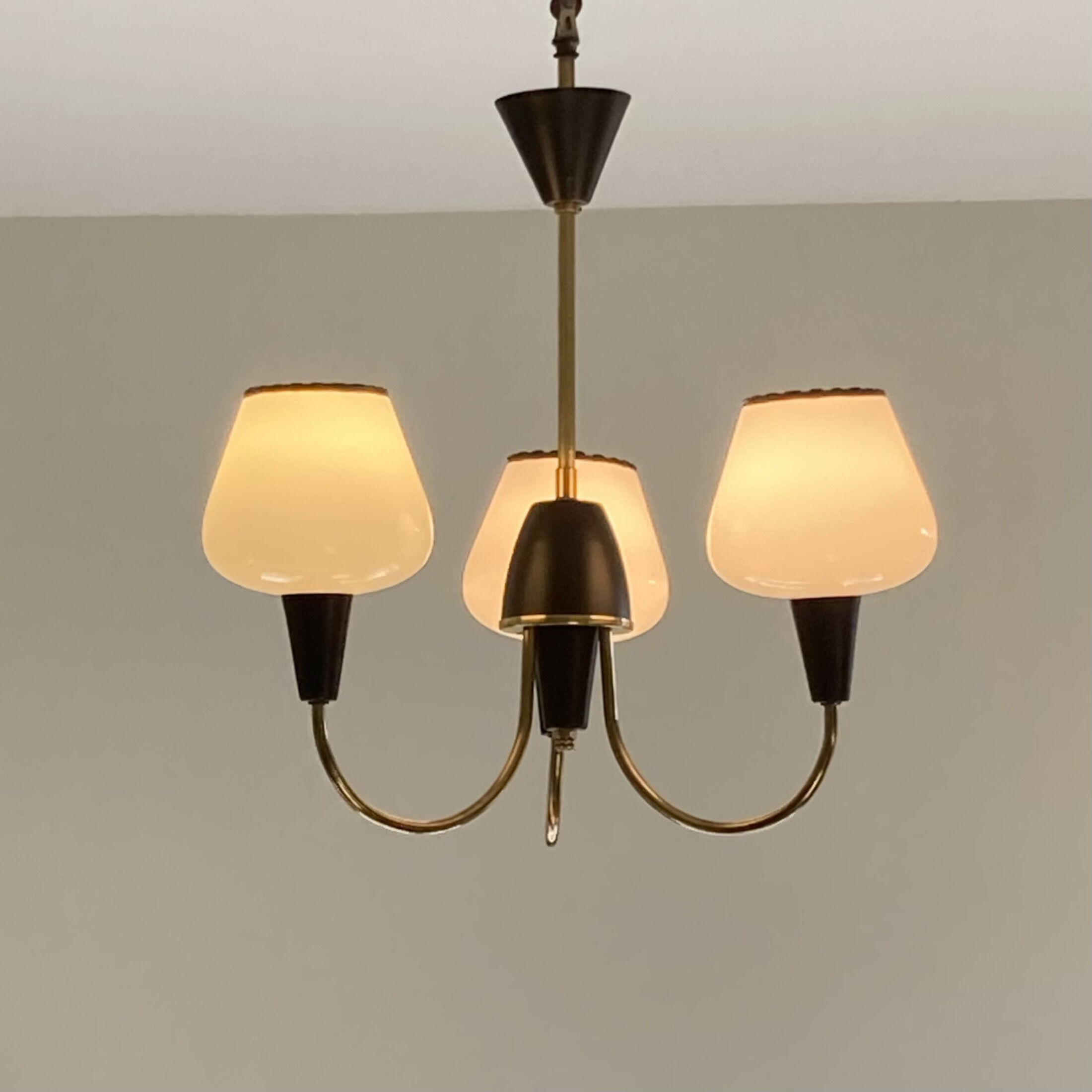 Brass chandelier and black metal tulips in white opaline glass 1950 1960 vintage suspension