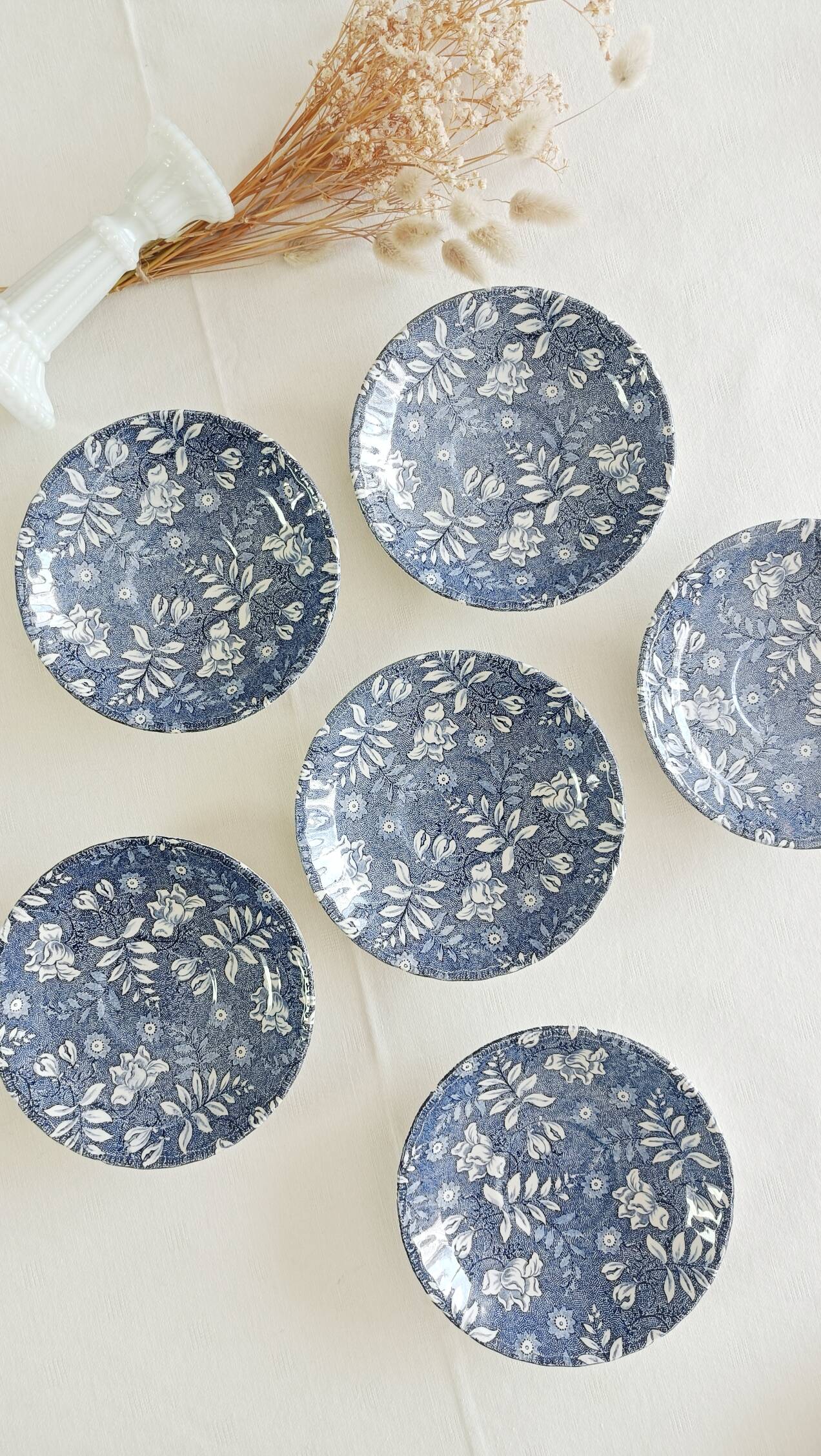 Set of 6 Royal Tudor Velvet Saucers