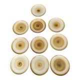 Set of 10 vintage Longchamp plates