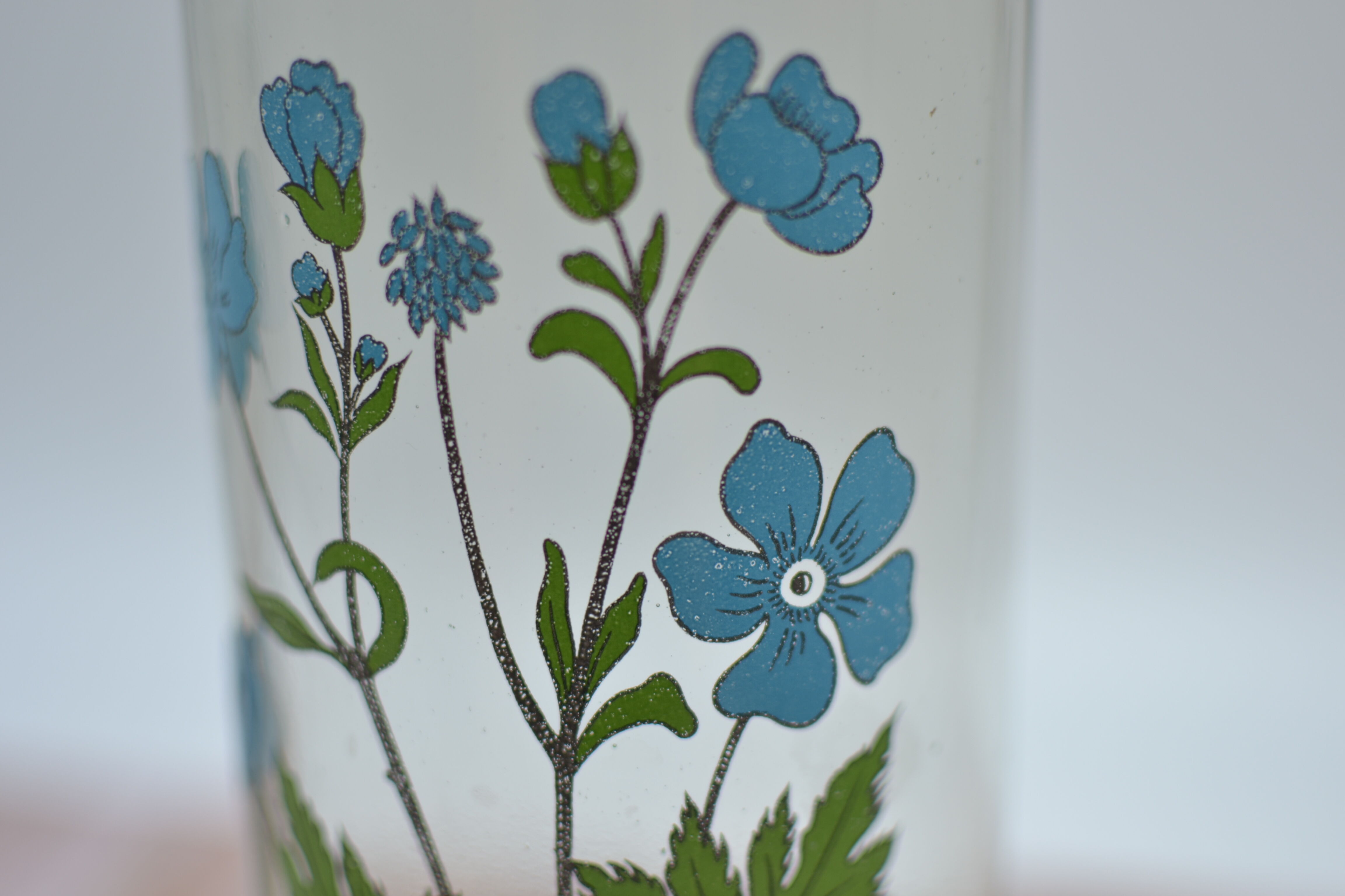 Ancient botanical jar Ranunculus Acris