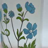 Ancient botanical jar Ranunculus Acris