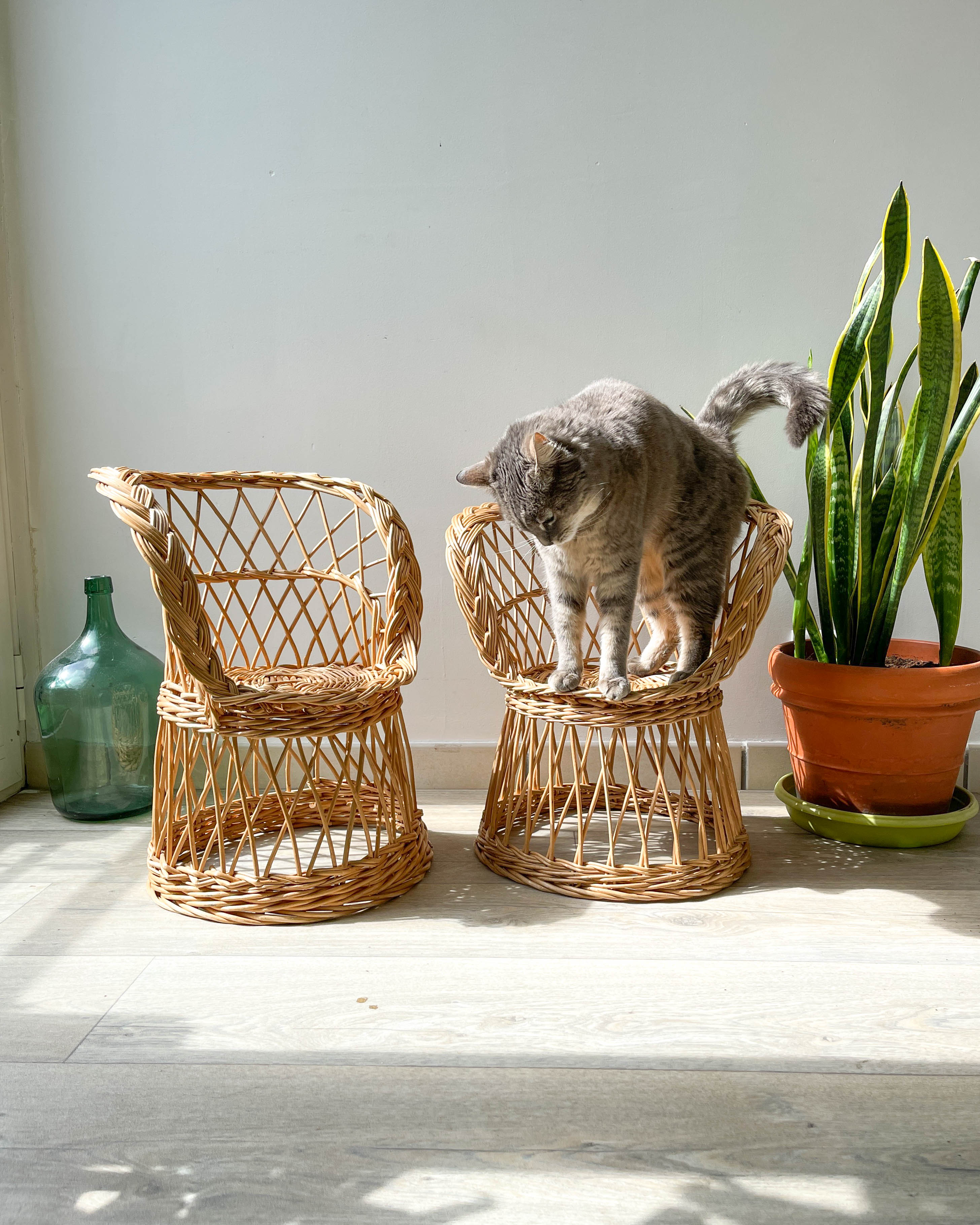 Pair of vintage rattan children's armchairs