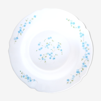 Arcopal hollow dish pattern Veronica