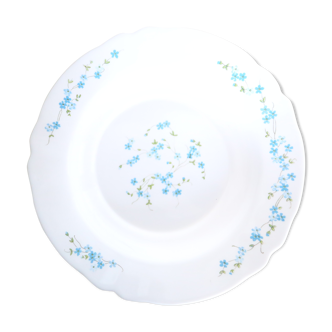 Arcopal hollow dish pattern Veronica