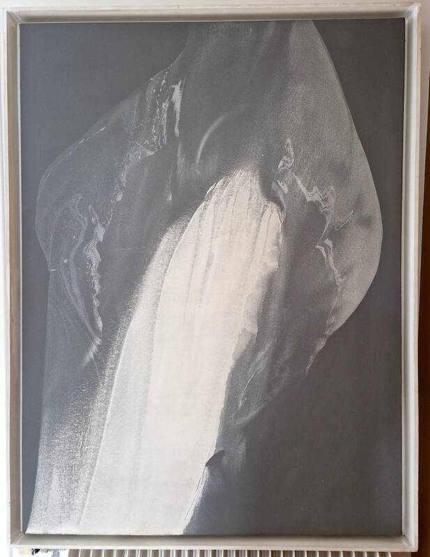 Paul Jenkins (1923-2012), American painter - Acrylic on canvas signed at the bottom - Phenomena Medusa