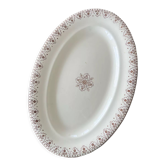 Iron Earth dish