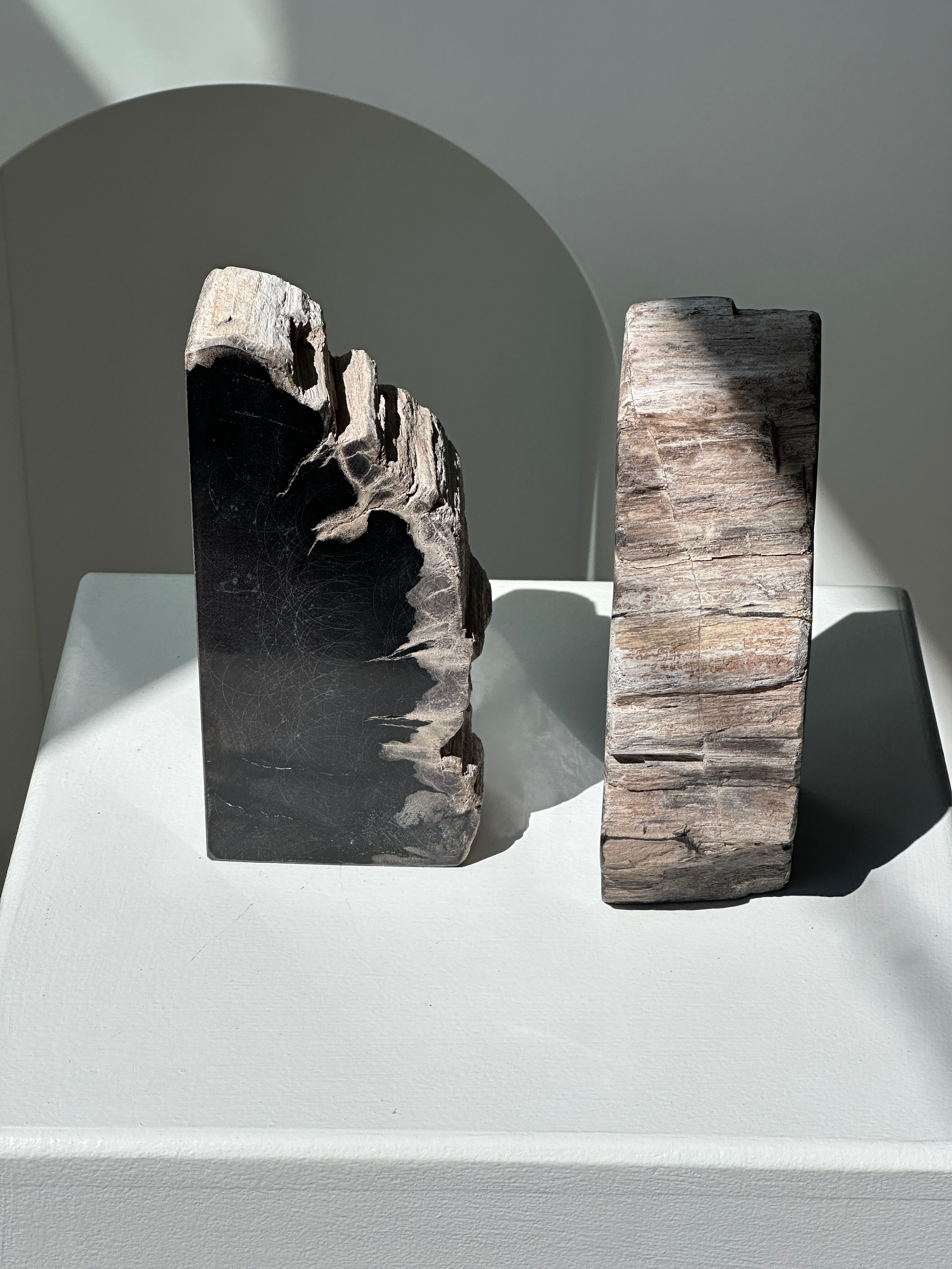 Black petrified wood bookend H17 L17 P6