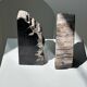 Black petrified wood bookend H17 L17 P6