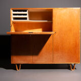 Pastoe cupboard CB01 designed by Cees Braakman