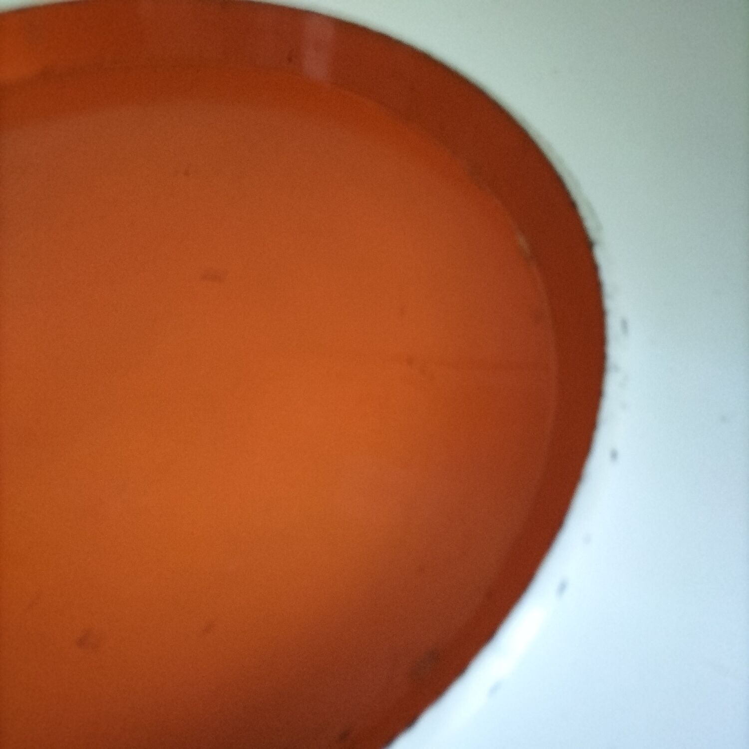 Vintage dish orange