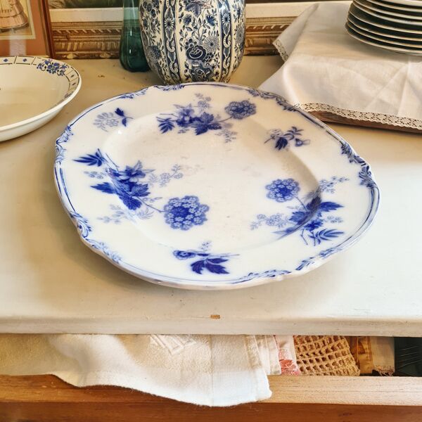 Plat ancien en terre de fer Wood and Brownfield Angleterre modèle Verbena bleu vers 1845