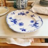 Ancient iron flat Wood and Brownfield England model Verbena blue around 1845