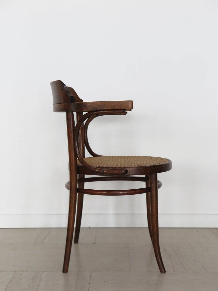 Vintage Chairs by Michael Thonet for Thonet, 1930s, Set of 6