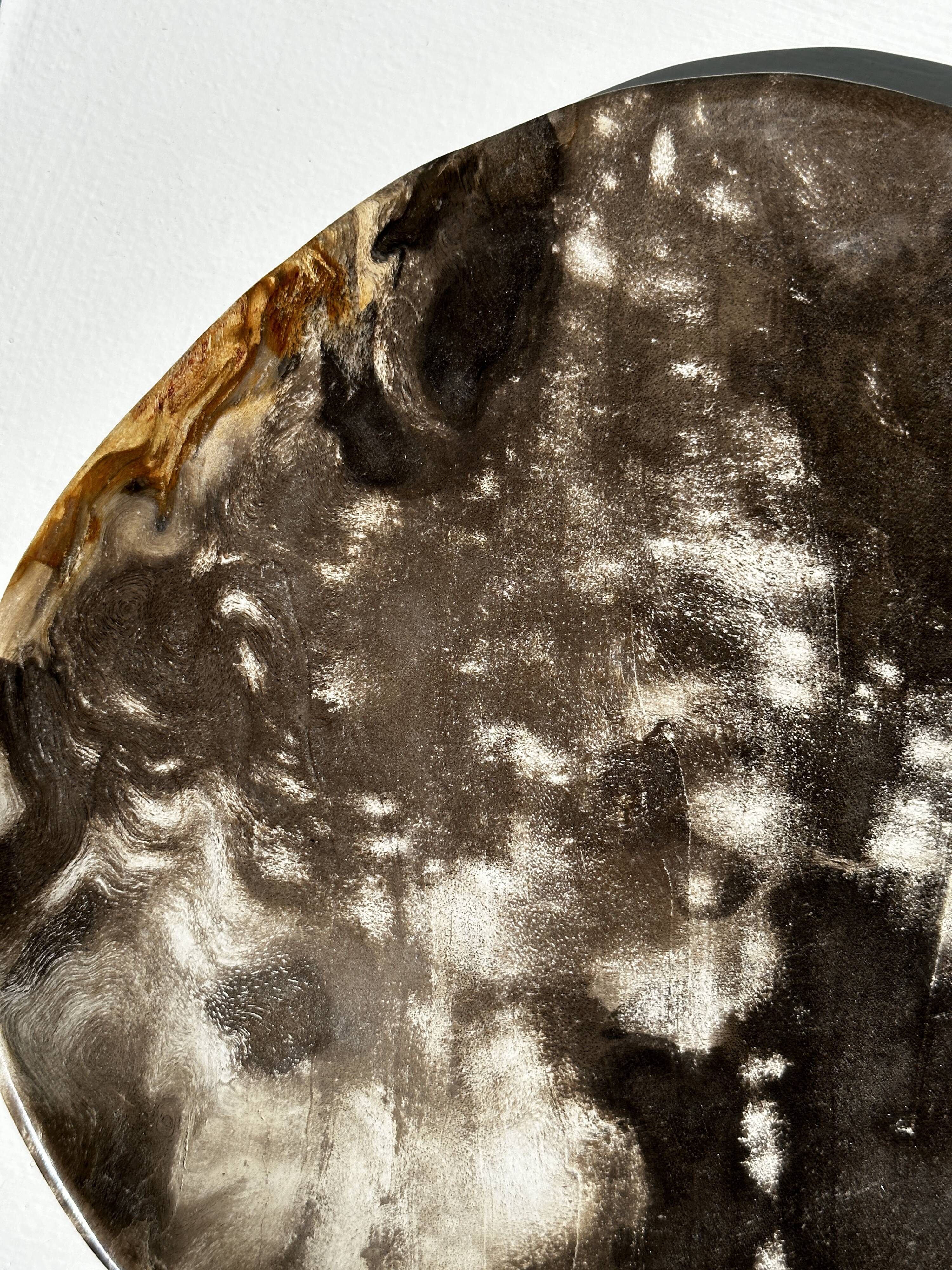 Dish in petrified wood