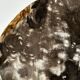Dish in petrified wood