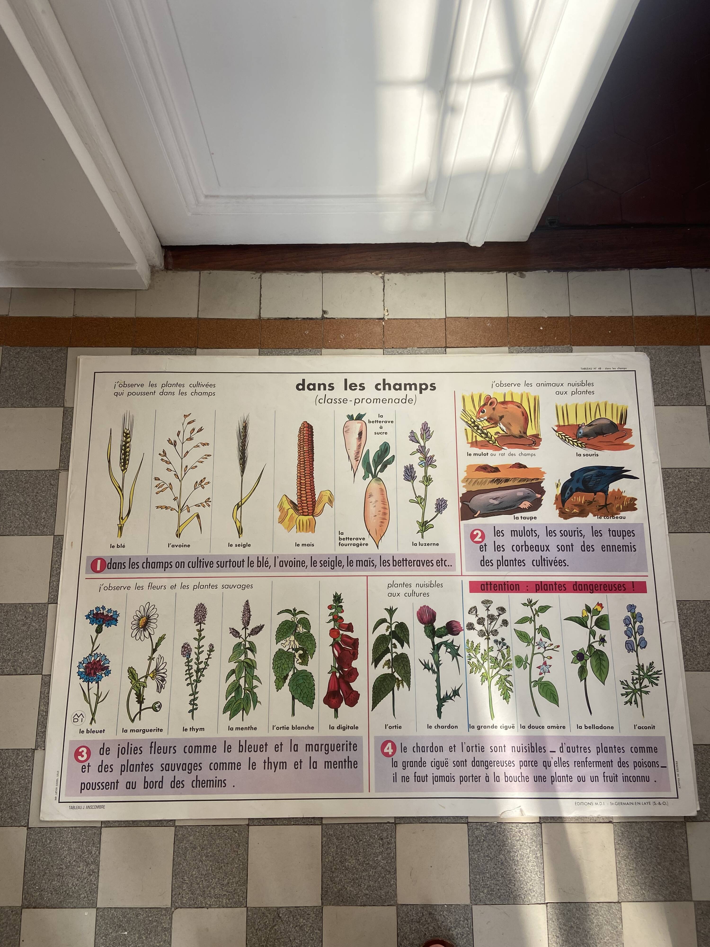 Vintage educational poster