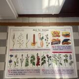 Vintage educational poster