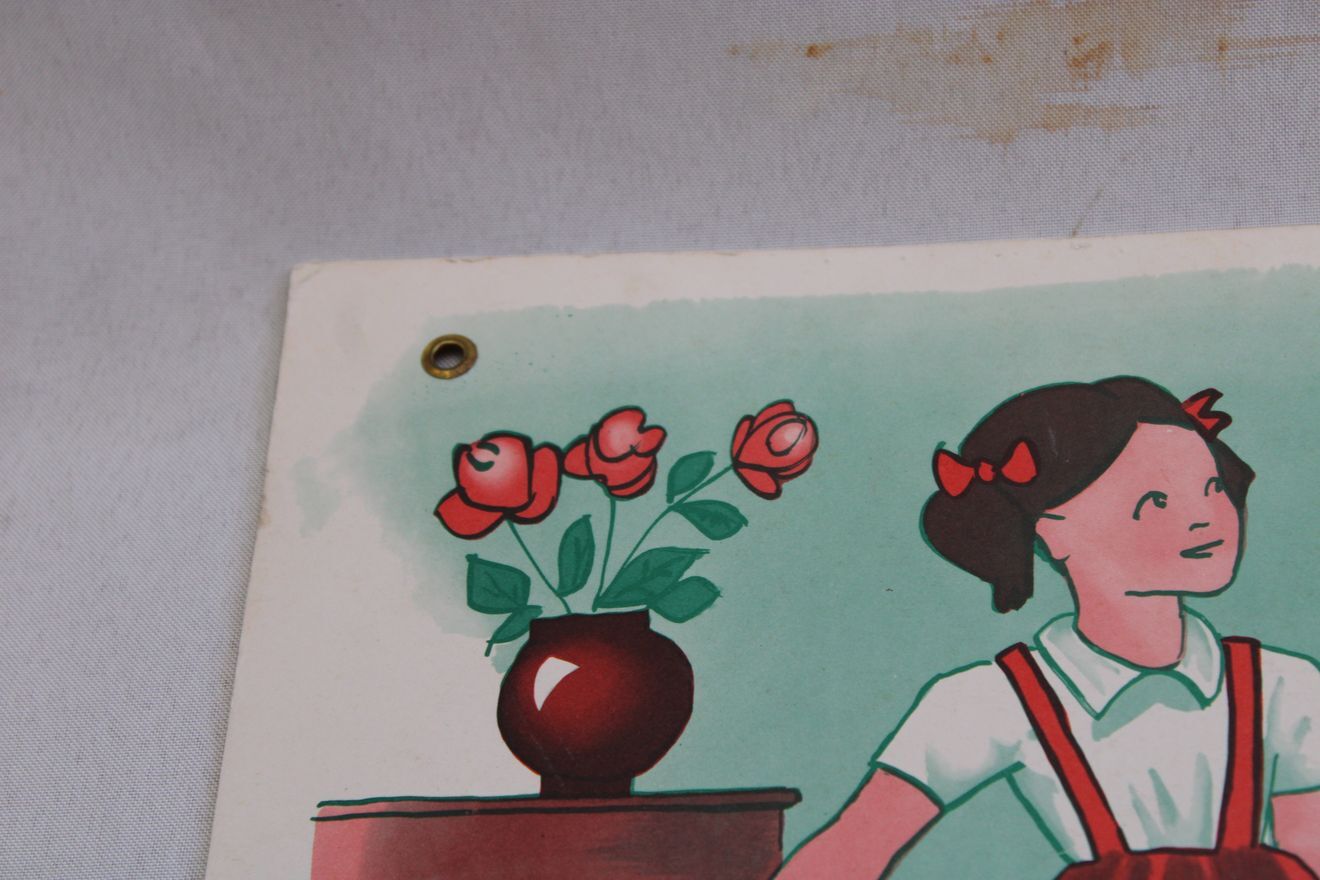 Affiche Rémi et Colette