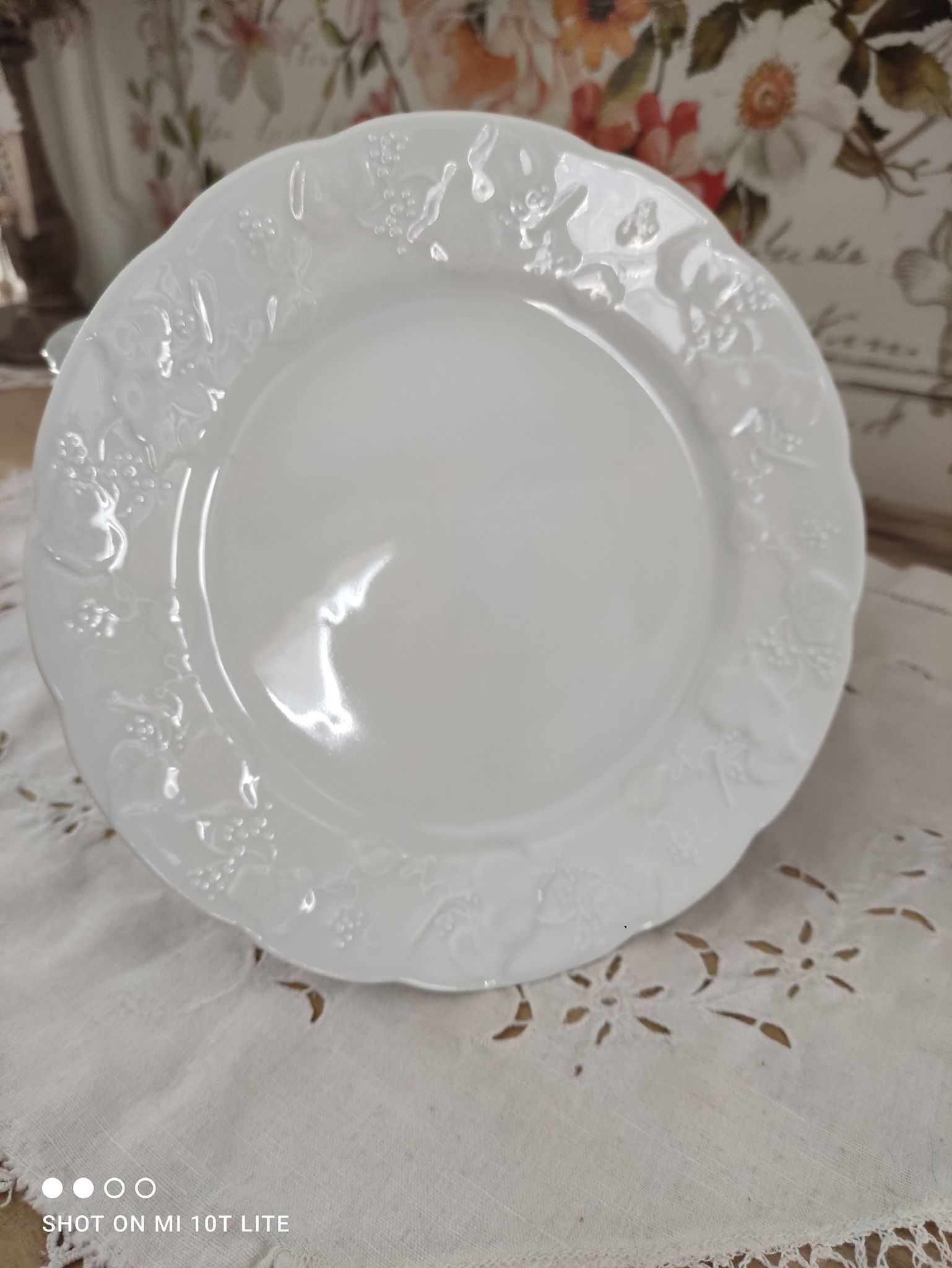 Set of 12 dessert plates in white porcelain marli in relief Wild Ivy