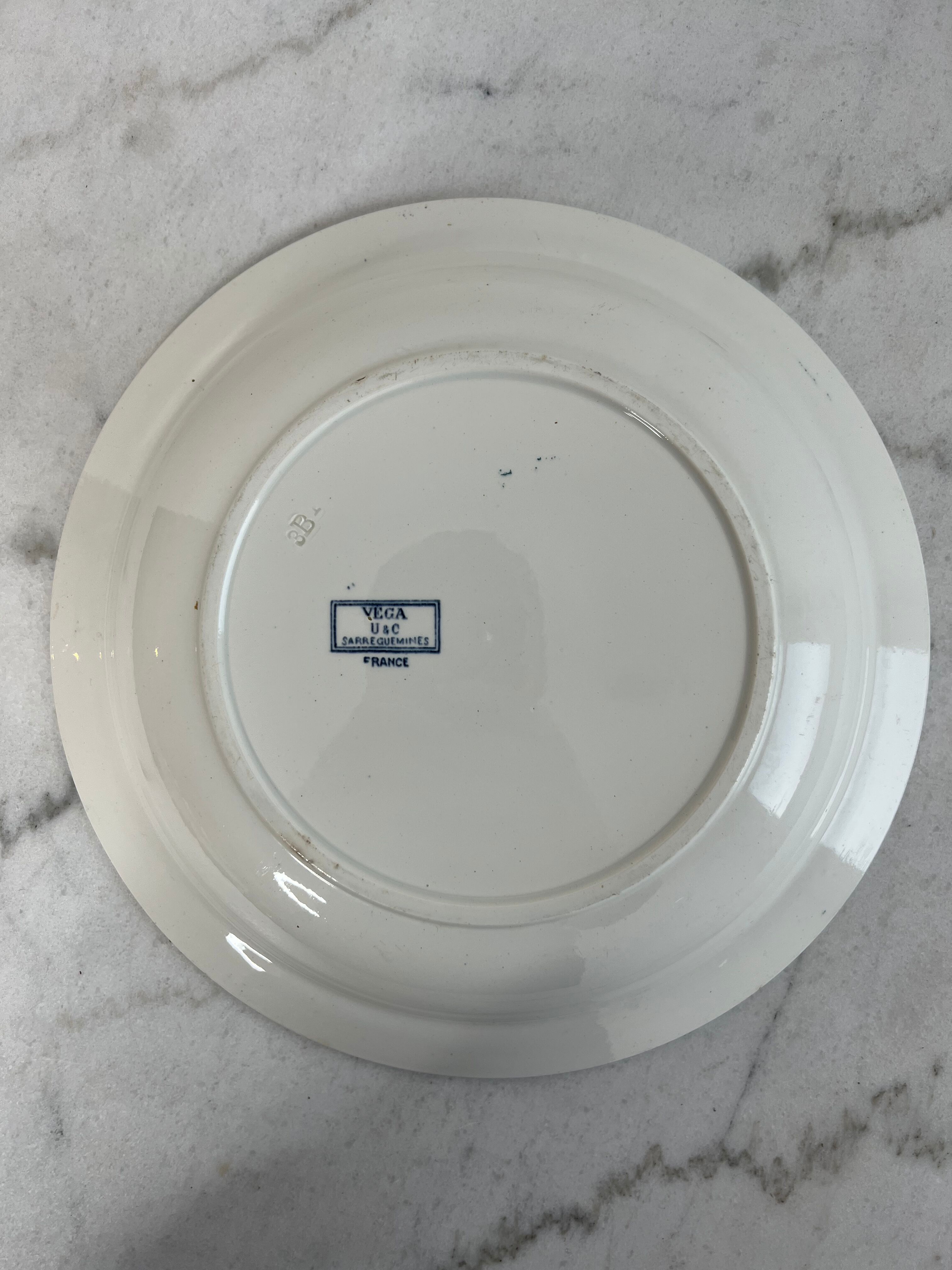 Sarreguemines Vega presentation dish